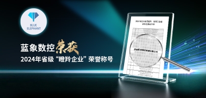 轻舟已过万重山，恒盛平台荣获2024年度省“瞪羚企业”荣誉